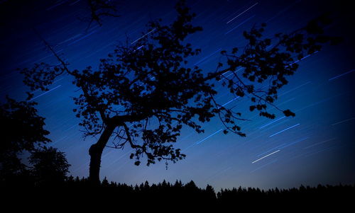 Low angle view of silhouette trees against sky at night