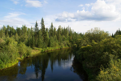 Scenic view of lake amidst trees in forest against sky