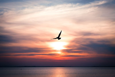 Sunset flight