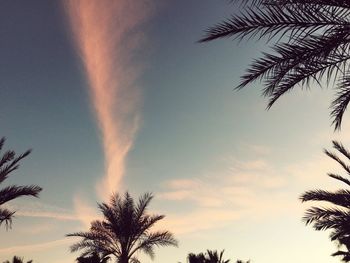 Low angle view of silhouette trees against sky at sunset