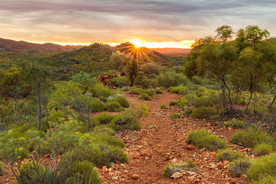 Scenic view of landscape against sky during sunset