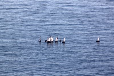 Boats sailing in sea