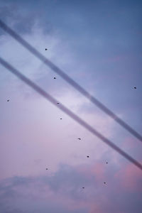Low angle view of birds flying against sky