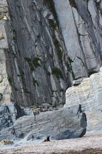 Low angle view of rock climbing