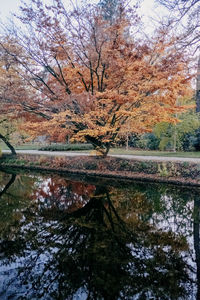 Scenic view of lake in forest during autumn