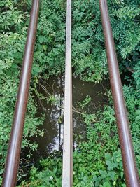 High angle view of railroad track amidst plants