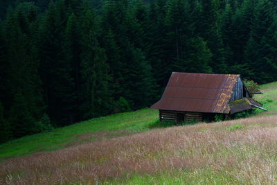 Built structure on field against trees in forest