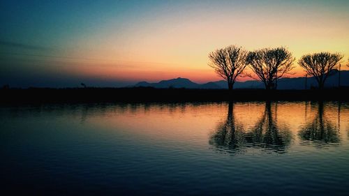 Silhouette of trees at sunset