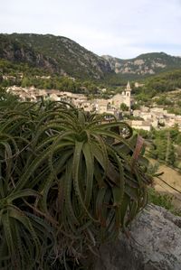 Townscape with mountain range in background