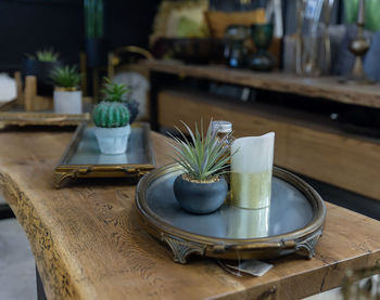 Close-up of potted plant on table