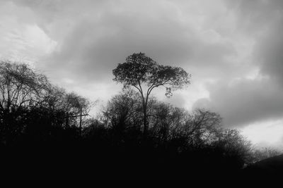 Low angle view of trees against cloudy sky