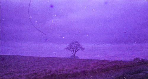 Scenic view of field against sky at dusk