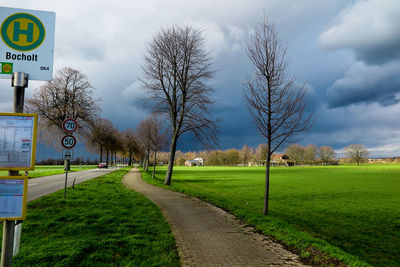 Road by trees against sky in city