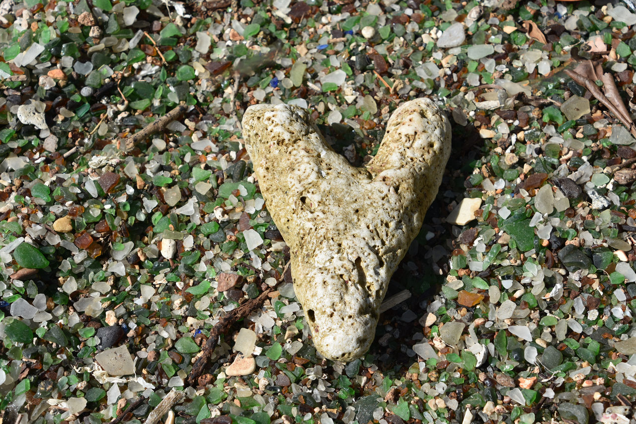 leaf, land, nature, wildlife, high angle view, plant part, day, no people, heart shape, field, love, plant, soil, outdoors, positive emotion, emotion, insect, directly above, butterfly, tree, green, animal, sunlight, close-up