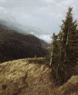 Scenic view of mountains against cloudy sky