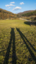 Shadow of person on grassy field