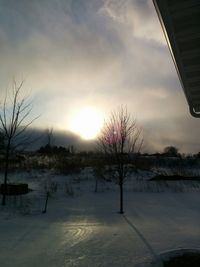 Bare trees on snow covered landscape