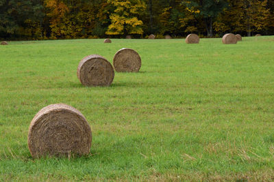 Hay bales on field