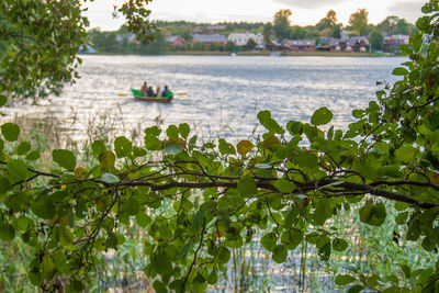 Scenic view of lake amidst trees