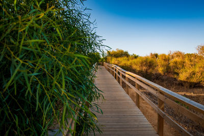 Boardwalk amidst plants on field against clear sky