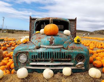 View of pumpkins on field against sky