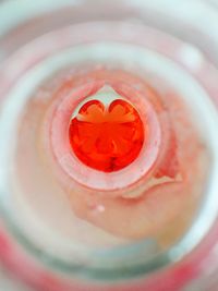Directly above shot of red rose in glass