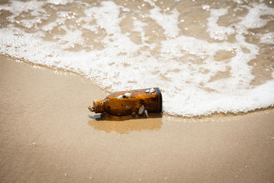 High angle view of abandoned container on beach