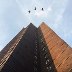 Low angle view of bird flying in sky