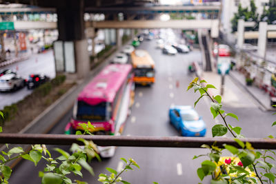 Small flower on street in city