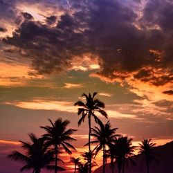 Silhouette of palm trees against cloudy sky