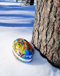 Close-up of painting on tree trunk