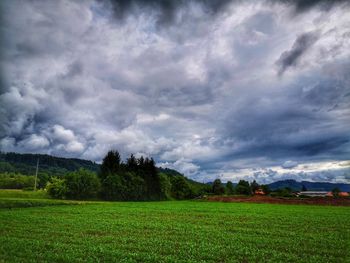 Scenic view of field against sky