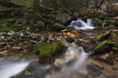 Scenic view of waterfall in forest in retezat mountains 