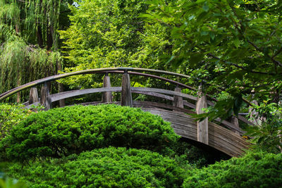 Bridge over river in forest