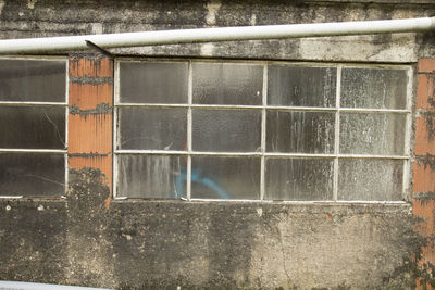 Close-up of water on window