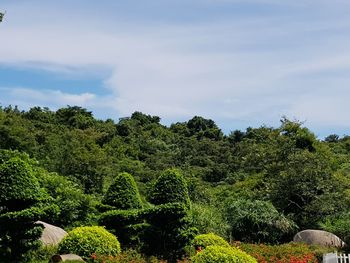 Scenic view of trees against sky