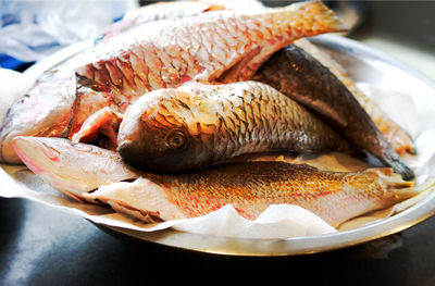 Close-up of fish in plate on table