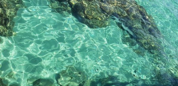 High angle view of swimming in sea