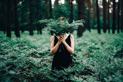 Trees growing in forest