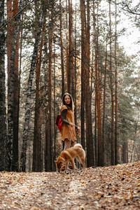 View of a dog in forest