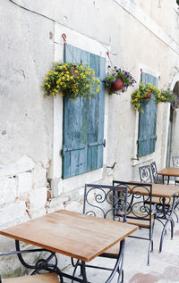 Flower plants on table