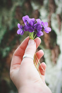 Close up tiny bunch of wildflowers concept photo