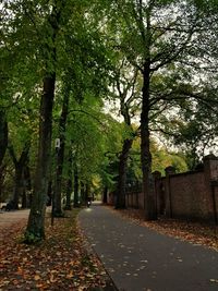 Road amidst trees against sky