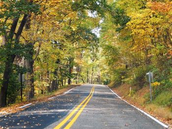 Road amidst trees during autumn