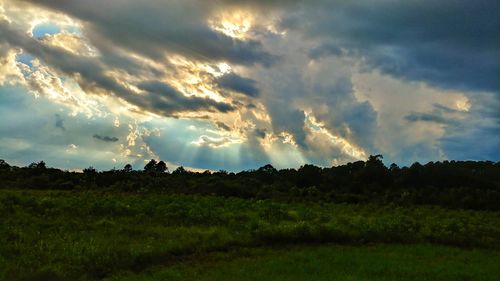 Scenic view of field against sky at sunset