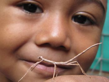 Close-up portrait of cute baby boy with stick insect