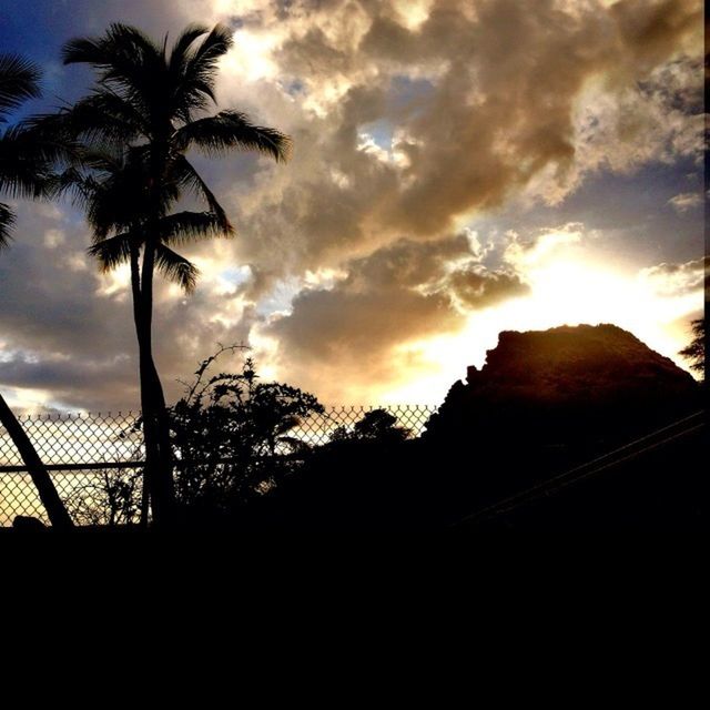 palm tree, sunset, silhouette, sky, tree, cloud - sky, low angle view, tranquility, beauty in nature, scenics, cloud, nature, tranquil scene, sun, cloudy, growth, orange color, idyllic, outdoors, no people