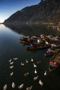 High angle view of boats in sea