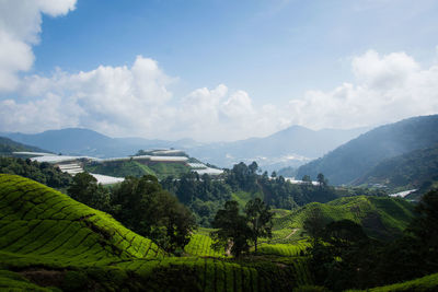 Scenic view of landscape and mountains against sky