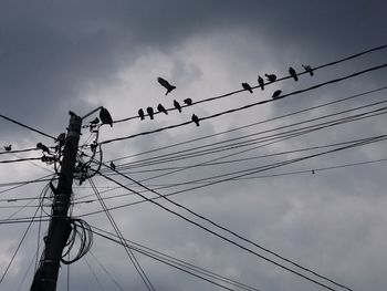 Low angle view of silhouette birds perching on cables against cloudy sky